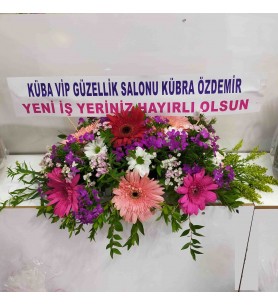 Masa Çiçeği Canlı