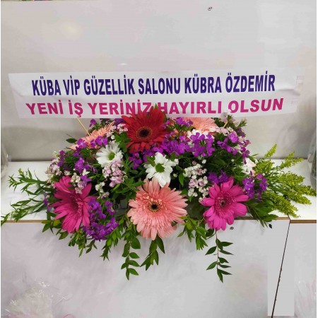 Masa Çiçeği Canlı