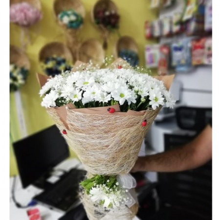 Papatya(kasımpatı)  Buketi Kucak Dolusu
