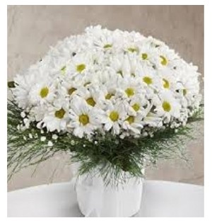 Seramikte Dolu Dolu Papatya
